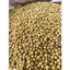Đậu tương vàng, đậu nành sống -10 kg