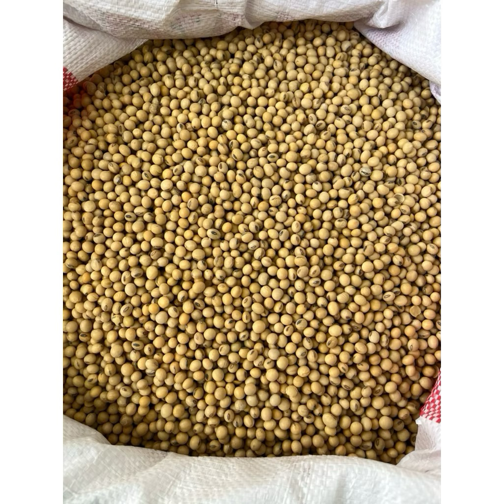 Đậu Nành Nguyên Hạt 1kg – Làm Sữa, Làm Đậu Phụ