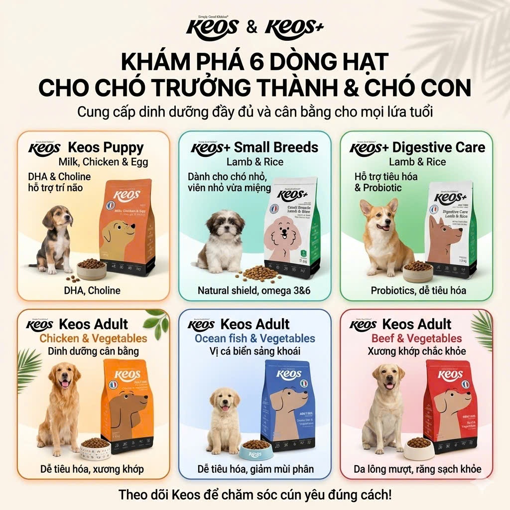 [CHÓ] Hạt Chó Keos Giàu Dinh Dưỡng, Bổ Sung Rau Củ - Giải Pháp Cho Đường Tiêu Hóa Của Cún 1.5Kg
