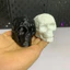 Còi Tử Thần Aztec Dọa Ma In 3D | Aztec Death Whistle Đồ Chơi Dã Ngoại Hot TikTok