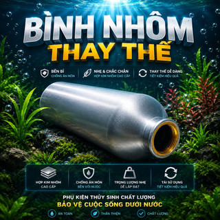 Bình Nhôm Thay Thế