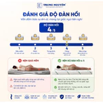 Nệm cao su non Trung Nguyên, Foam cao su non thế hệ mới kết hợp memory foam cao cấp Bảo Hành 15 năm — ảnh 3