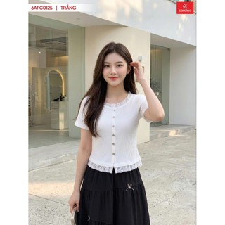 (Sẵn)6AFC01Áo thun nữ CARDINA chất tăm lạnh cộc tay phối ren cổ tròn kiểu dáng nhẹ nhàng trẻ trung màu sắc đa dạng