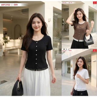 (Sẵn)6AFC01Áo thun nữ CARDINA chất tăm lạnh cộc tay phối ren cổ tròn kiểu dáng nhẹ nhàng trẻ trung màu sắc đa dạng