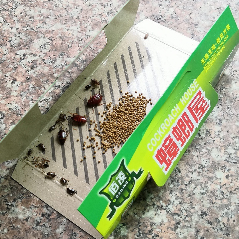 Bẫy diệt gián trong nhà - Có mồi, keo dính chắc - Diệt sạch ổ gián - An toàn gia đình - Cubi