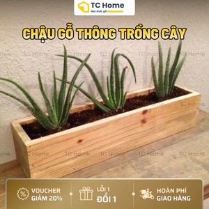 Chậu Gỗ Thông Chữ Nhật cao 10cm Trồng Cây Cảnh, Sen Đá - Chậu Decor Bàn Làm Việc Nhiều Kích Thước - TC Home