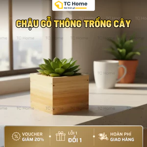 Chậu Gỗ Thông Hình Vuông Trồng Cây Mini, Bonsai, Sen Đá - Chậu Decor Bàn Làm Việc Nhiều Size - TC Home