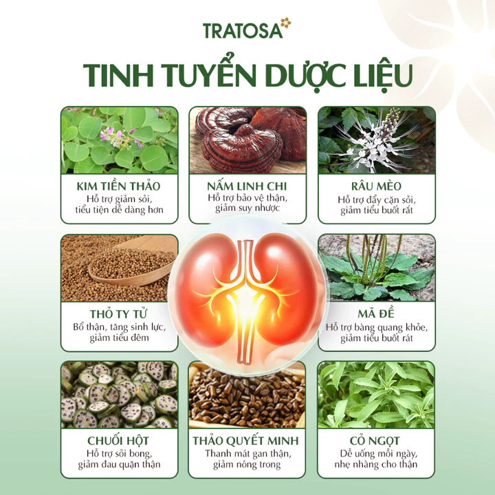 Tea Okoshi Plus Tratosa – 7