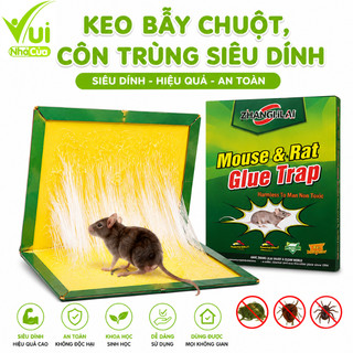 Keo Bẫy Chuột Côn Trùng Siêu Dính Không Độc Hại GD214 - Bẫy Dính Chuột Và Côn Trùng Giữ Chặt