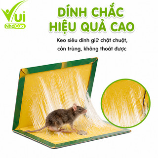 Keo Bẫy Chuột Côn Trùng Siêu Dính Không Độc Hại GD214 - Bẫy Dính Chuột Và Côn Trùng Giữ Chặt