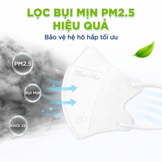 Khẩu Trang 5D Thịnh Phát Kháng Khuẩn Nhiều Màu Sắc GD71 - Khẩu Trang Thịnh Phát 3 Lớp Lọc Bụi Mịn