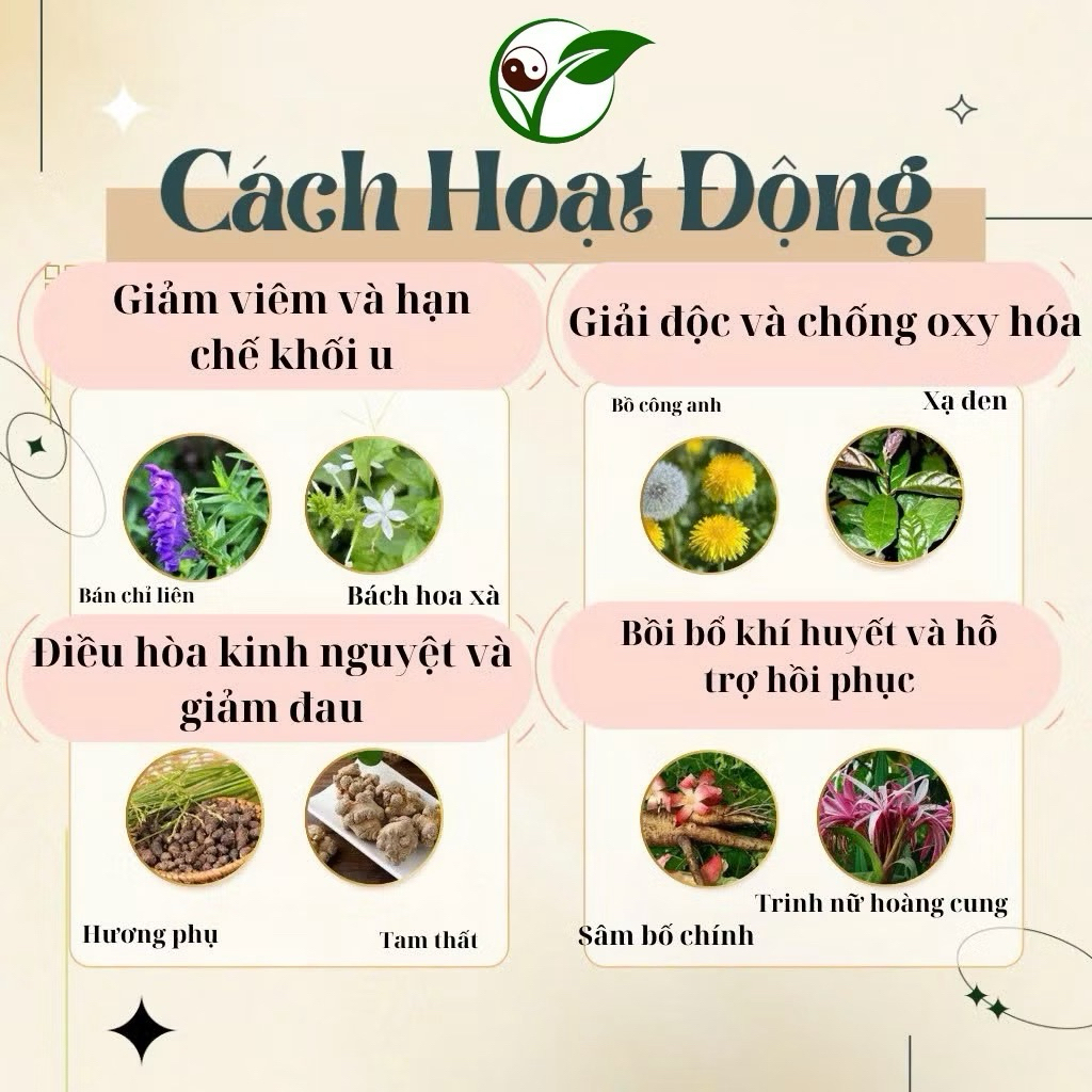 TRÀ TIÊU U Tuyến giáp - u hạch, u nang, u lành tính, trà dễ sử dụng (tặng 10tép lọc)