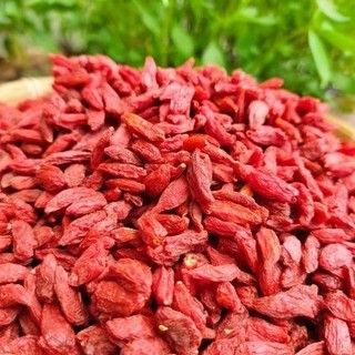 Kỷ Tử Mộc Hỗ Trợ Tiêu Hóa Và Sức Khỏe Tim Mạch