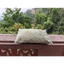 Gối thảo dược cổ gáy