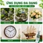 Keo dán đa năng Super Glue D dán hòn non bộ trang trí tiểu cảnh dán siêu chắc đa năng an toàn 20gr