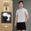 Áo Phông Cổ Tròn DINOMAN Form Cleanfit Tôn Dáng Vải Cotton Co Giãn Thấm Hút Mềm Mịn Dễ Chịu AP016