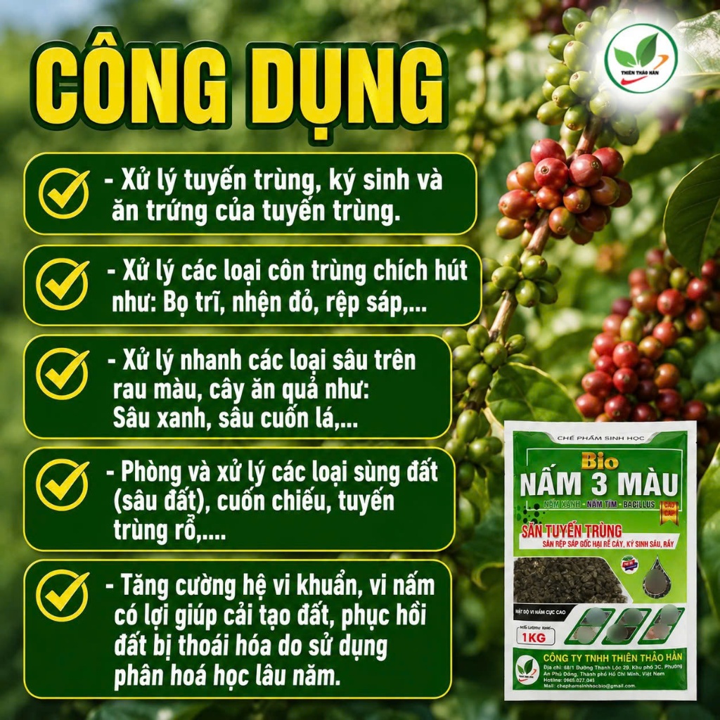 Nấm 3 Màu Sinh Học 200gr, 1kg | Diệt Tuyến Trùng, Sùng Đất, Ức Chế Nấm Bệnh Fusarium, Phytophthora, Kích Rễ Cải Tạo Đất
