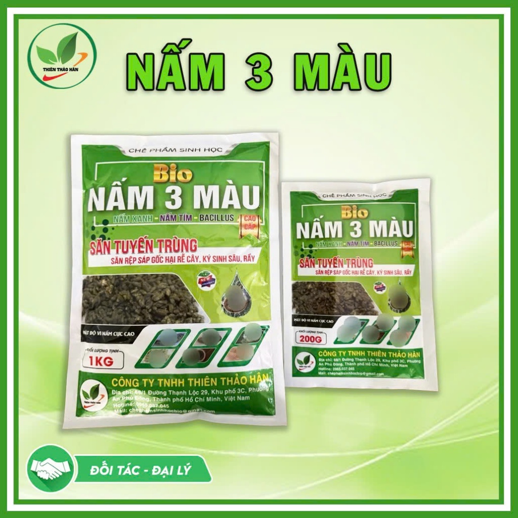 Nấm 3 Màu Sinh Học 200gr, 1kg | Diệt Tuyến Trùng, Sùng Đất, Ức Chế Nấm Bệnh Fusarium, Phytophthora, Kích Rễ Cải Tạo Đất