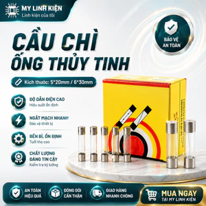 Cầu chì thuỷ tinh 5x20mm 6x30mm đầy đủ giá trị