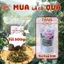 CHÈ VẰNG SẺ khô-sạch-thơm + QUÀ TẶNG HẤP DẪN