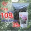 CHÈ VẰNG SẺ khô-sạch-thơm + QUÀ TẶNG HẤP DẪN
