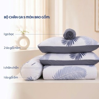 Bộ ga giường áo gối kèm mền Stefani cotton nhung 5 món mềm mại 2026 1m6x2m, 1m8x2m, drap bọc nệm