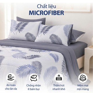 Bộ ga giường áo gối kèm mền Stefani cotton nhung 5 món mềm mại 2026 1m6x2m, 1m8x2m, drap bọc nệm