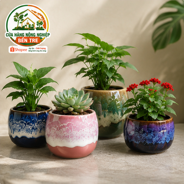 (Giá Sỉ ) Chậu Gốm Bát Tràng Mini Trồng Sen Đá, Xương Rồng - Chậu Decor Để Bàn Handmade Cao Cấp