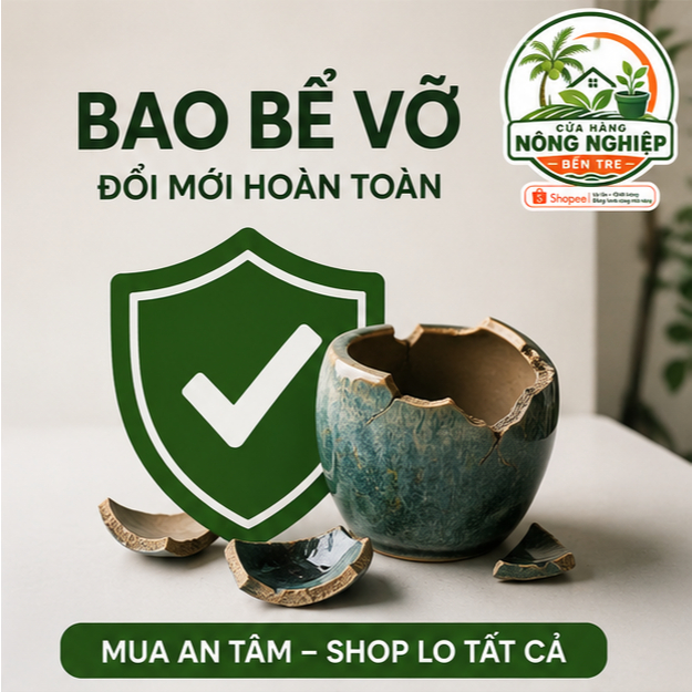 (Giá Sỉ ) Chậu Gốm Bát Tràng Mini Trồng Sen Đá, Xương Rồng - Chậu Decor Để Bàn Handmade Cao Cấp