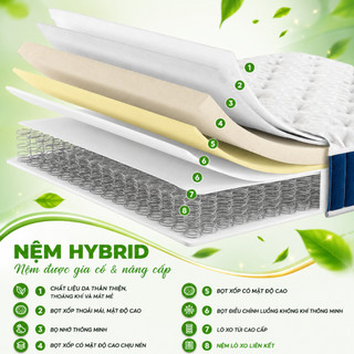 Nệm lò xo hai tầng lò xo Spring Mattress cao 20cm rộng 120/140/160/180cm thích hợp nhiều kiểu giường