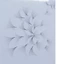 mi fan 10d 0.05 1000 fan và 500 fan