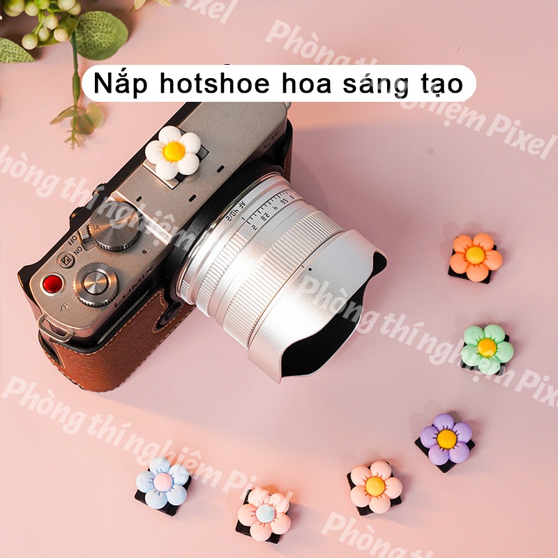 3D Camera Phim Hoạt Hình Ba Chiều Hot Shoe Cover Flash Cap Bảo Vệ Camera Phụ Kiện