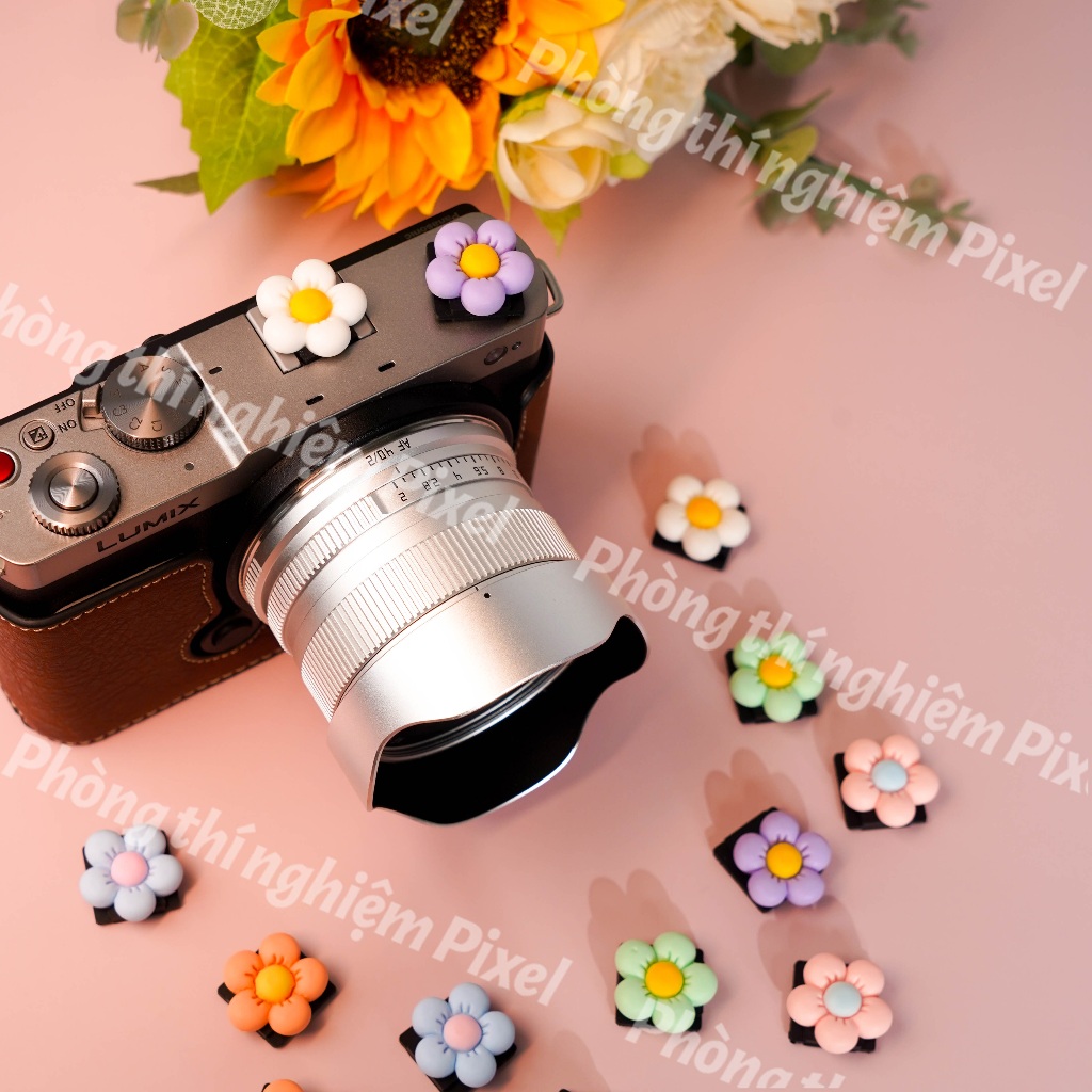 3D Camera Phim Hoạt Hình Ba Chiều Hot Shoe Cover Flash Cap Bảo Vệ Camera Phụ Kiện