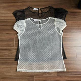 NAVIE X KURV (CÓ BIGSIZE ) - Áo lưới chấm bi LOLIEE tay phồng thời trang nữ