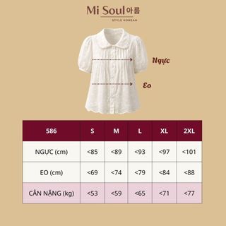 Áo Sơ Mi Kiểu Phối Ren Cotton Thô Thêu Nơ 2 Lớp, Áo Babydoll Tay Phồng Hàn Quốc MiSoul 586