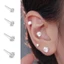 Bông tai nữ nụ đính đá zircon lấp lánh basic