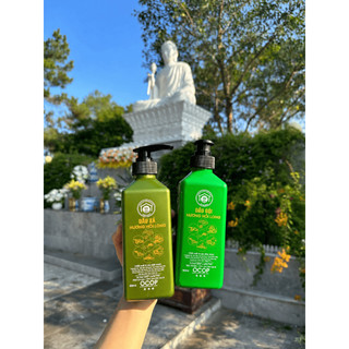 Combo Dầu Gội, Dầu Xả,  OCOP Hương Hồi Long - Hỗ trợ giảm gãy rụng, Tóc chắc khỏe