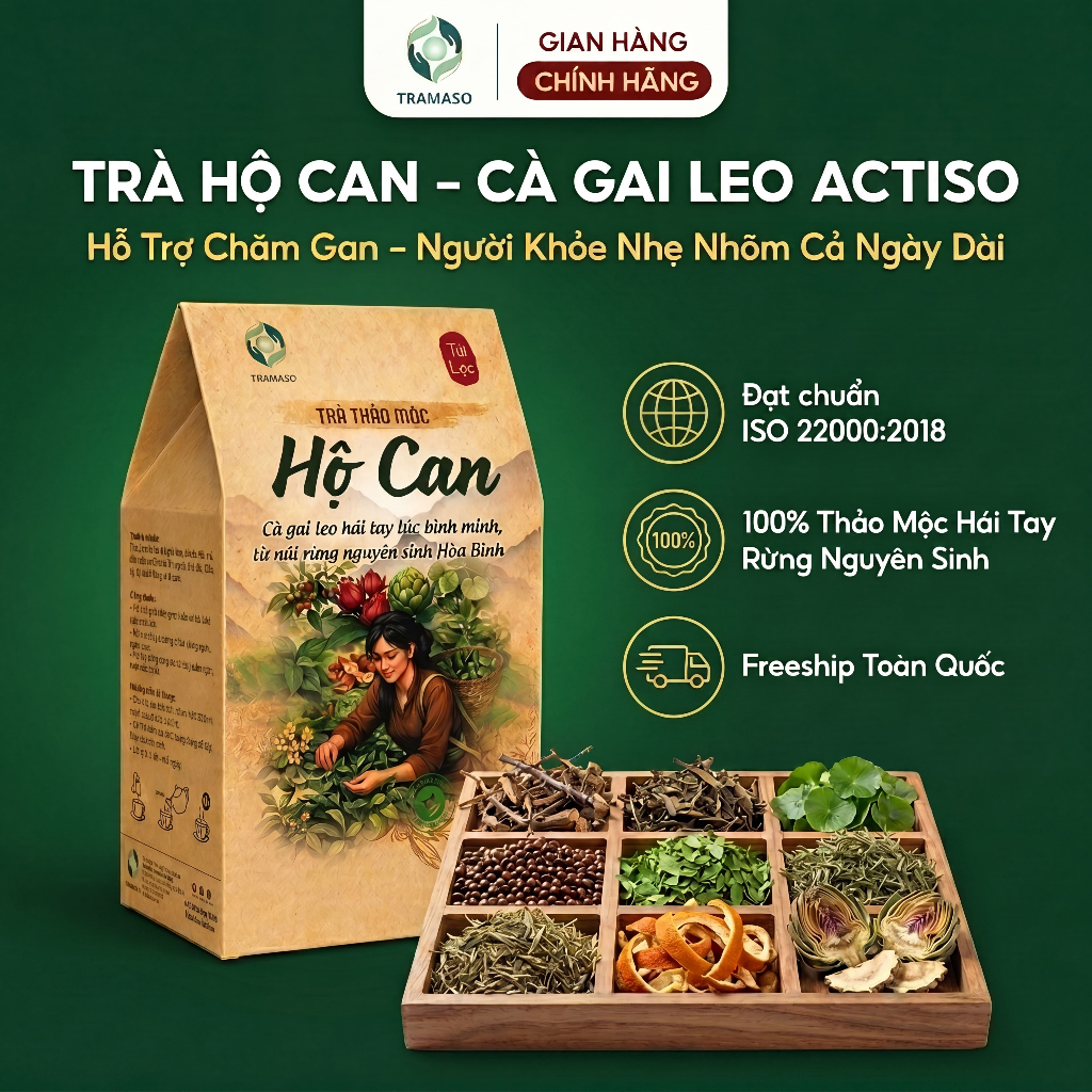 Trà Hộ Can TRAMASO – Thảo Mộc hái tay gốc rừng nguyên sinh tốt cho người nóng trong, mệt mỏi, gan quá tải