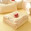 Chăn hè chần bông cotton lumicott kích thước 2mx2m3 hàng dẹp