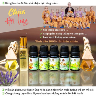 Tinh Dầu Nguyên Chất Hương Hồi Long 10ml – Xông Phòng, Khử Mùi, Thư Giãn Tinh Thần