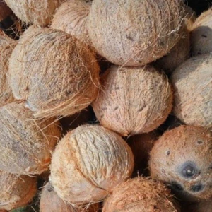 Dừa Già, Dừa Khô Nguyên Trái Trà Du Farm – Cơm Dày, Nước Ngọt, Làm Cốt Bao Béo