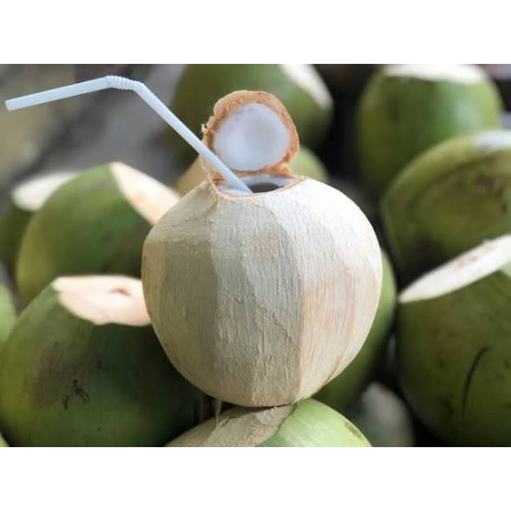 Dừa Xiêm Nguyên Trái Trà Du Farm - Dừa Tươi Bình Định Chuẩn Vườn, Ngọt Thanh, Giải Nhiệt Sảng Khoái