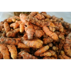 Nghệ Tươi Trà Du Farm – Nghệ Ta Giống Cổ, Củ Già, Nhiều Tinh Chất, Chuẩn Sạch 100% (hàng đặt mới đào)