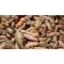 Nghệ Tươi Trà Du Farm – Nghệ Ta Giống Cổ, Củ Già, Nhiều Tinh Chất, Chuẩn Sạch 100% (hàng đặt mới đào)