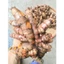 Nghệ Tươi Trà Du Farm – Nghệ Ta Giống Cổ, Củ Già, Nhiều Tinh Chất, Chuẩn Sạch 100% (hàng đặt mới đào)