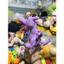 Gấu 2hand gấu bông nhân vật Pokémon Aerodactyl màu tím với đôi cánh nhỏ và miệng rộng.