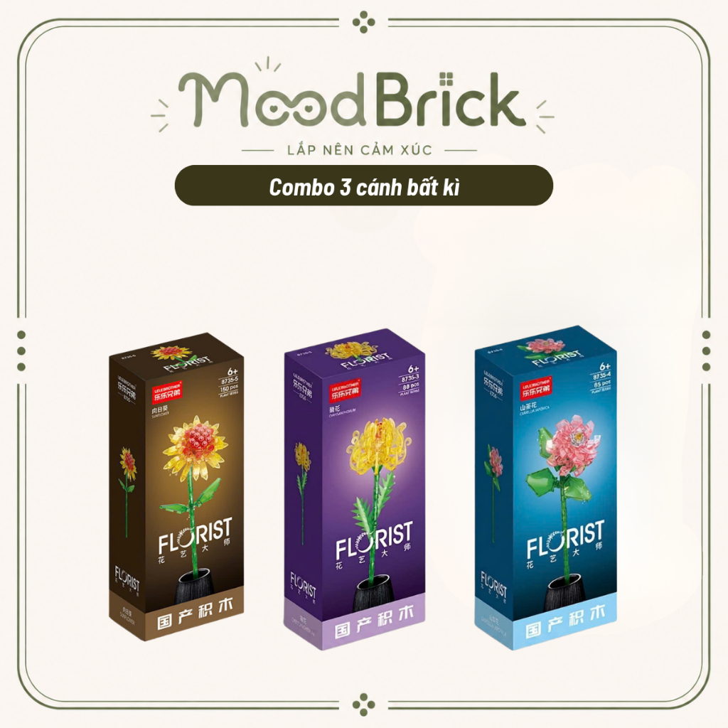 Hoa Sen Lắp Ráp Trong Suốt Mô Hình Hoa Trang Trí Phòng Khách Quà Tặng Độc Đáo - MoodBrick