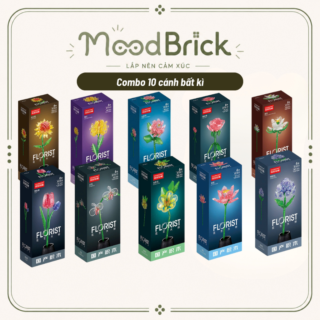 Hoa Sen Lắp Ráp Trong Suốt Mô Hình Hoa Trang Trí Phòng Khách Quà Tặng Độc Đáo - MoodBrick