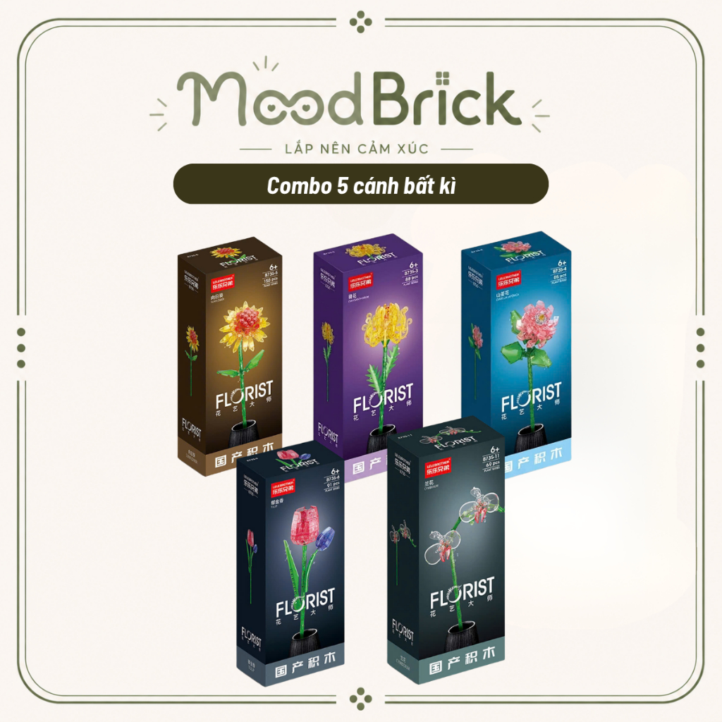 Hoa Sen Lắp Ráp Trong Suốt Mô Hình Hoa Trang Trí Phòng Khách Quà Tặng Độc Đáo - MoodBrick