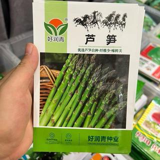 Hạt giống Măng Tây Xanh F1 (Gói 1g~80 Hạt) Dễ Trồng, Sinh Trưởng Khoẻ, Trồng Quanh Năm